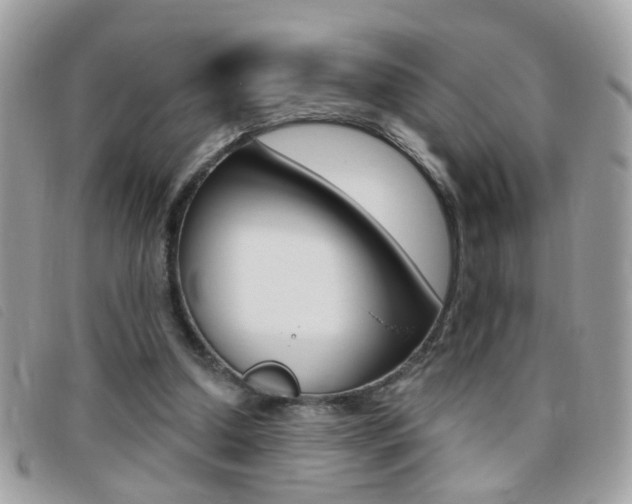 X0000095900250200801110811