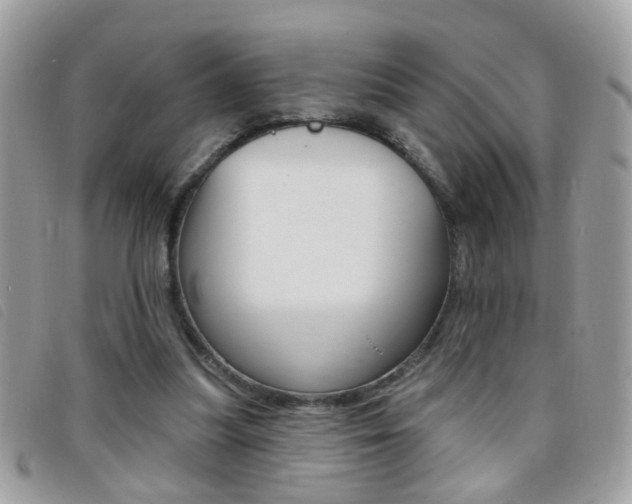 X0000095900251200801110811
