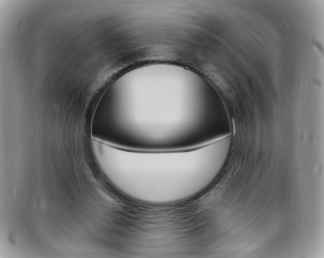 X0000095900252200801110811