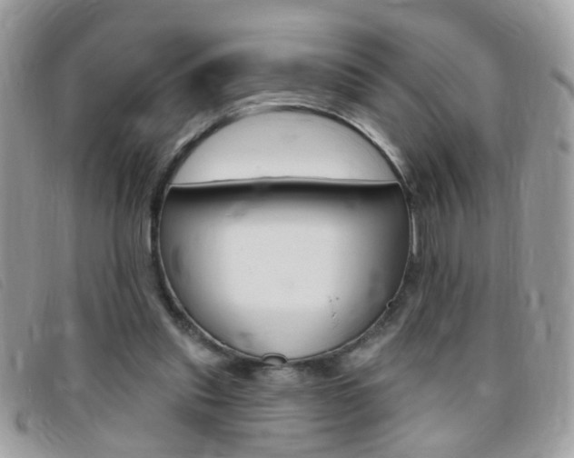 X0000095900253200801110811