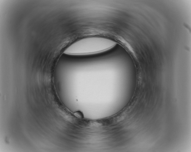 X0000095900257200801110811