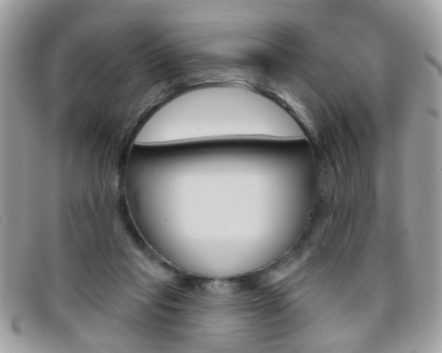 X0000095900261200801110811