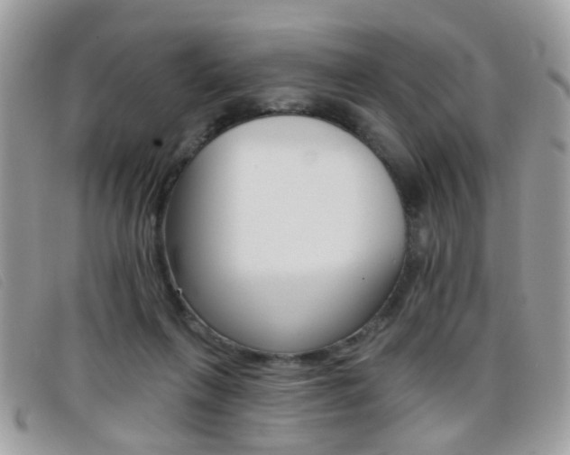 X0000095900263200801110811