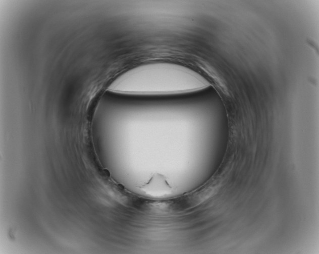 X0000095900265200801110811