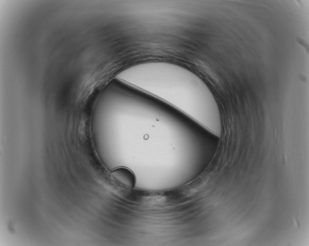 X0000095900266200801110811