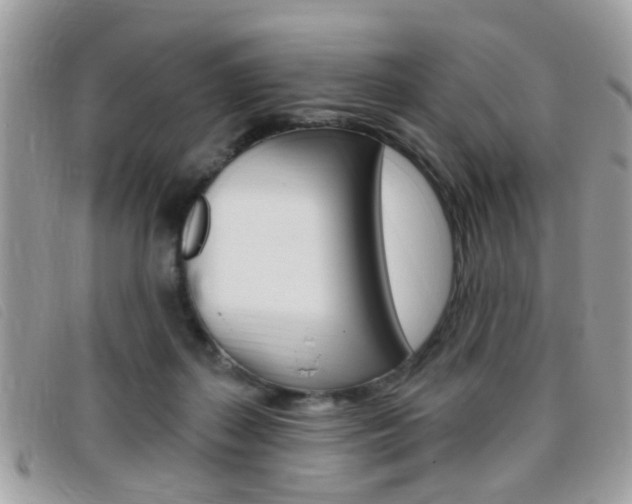 X0000095900267200801110811
