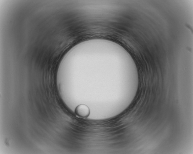 X0000095900268200801110811