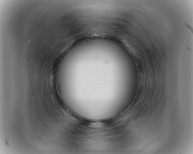 X0000095900269200801110811