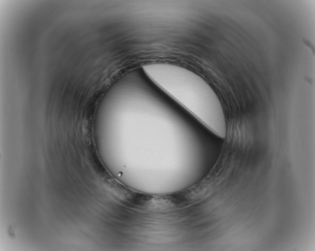 X0000095900270200801110811