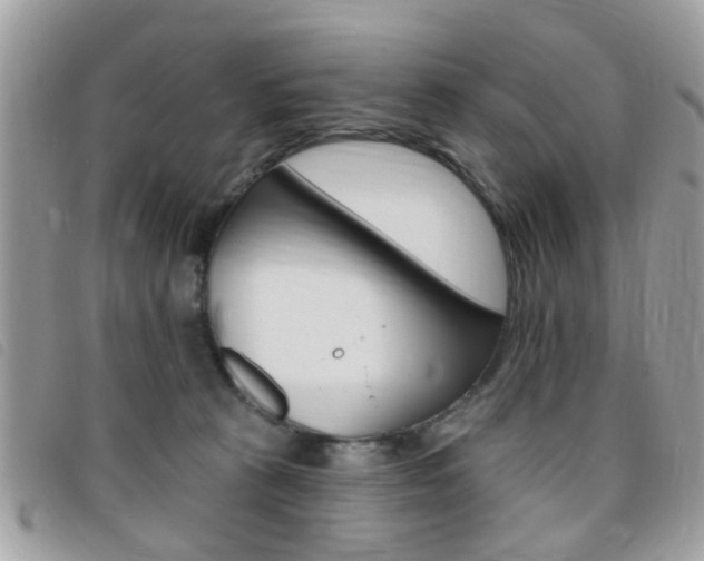 X0000095900273200801110811