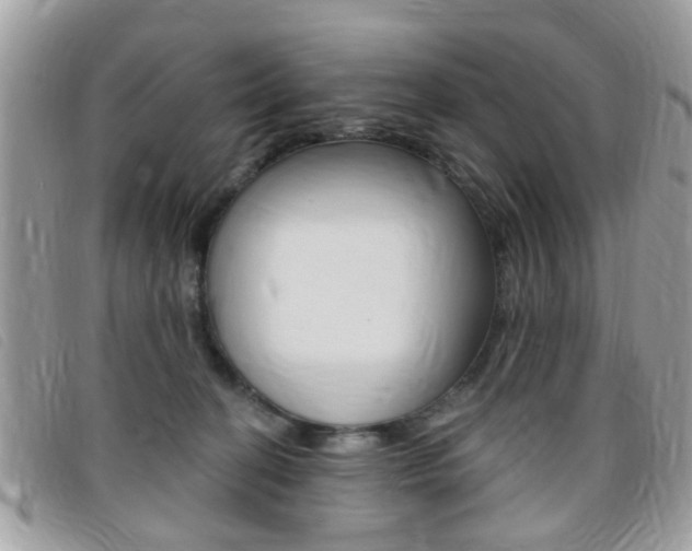X0000095900274200801110811