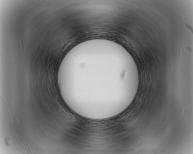 X0000095900276200801110811