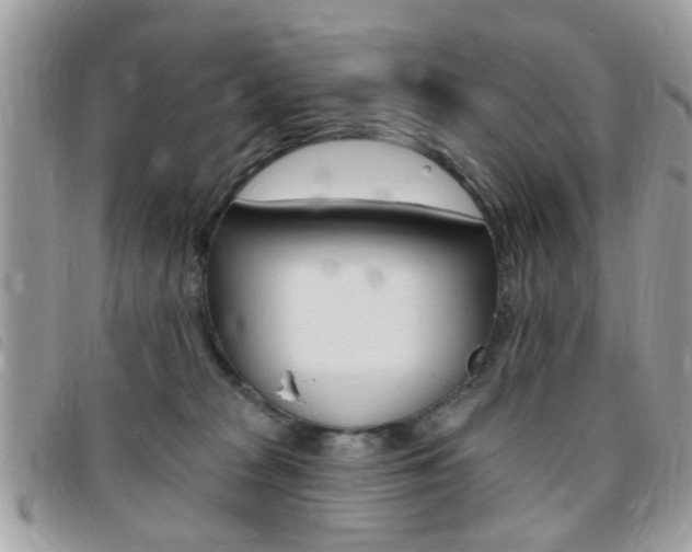 X0000095900277200801110811
