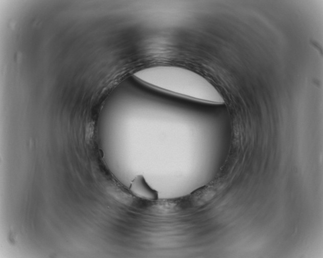X0000095900278200801110811