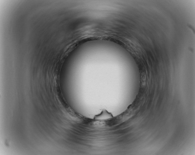 X0000095900279200801110811