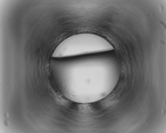 X0000095900281200801110812