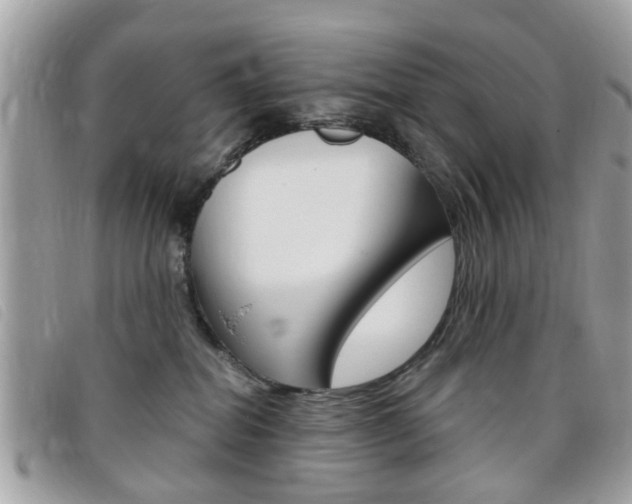 X0000095900282200801110812