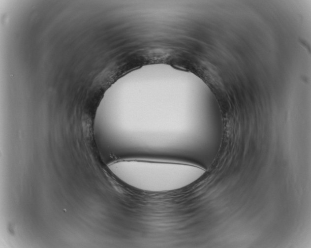 X0000095900283200801110812