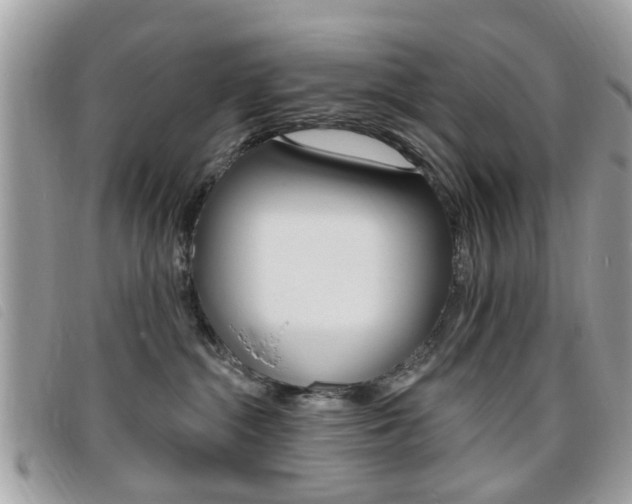 X0000095900284200801110812