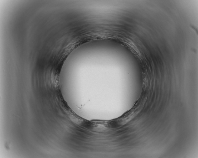 X0000095900285200801110812