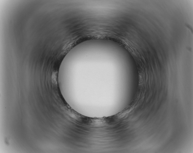 X0000095900286200801110812