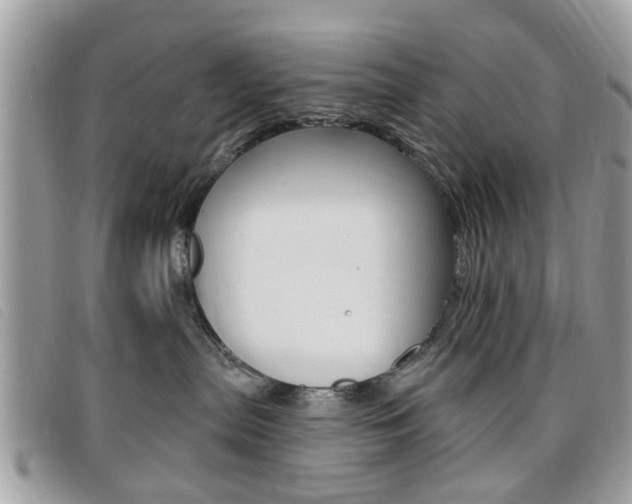 X0000095900287200801110812