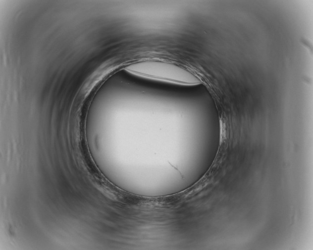 X0000095900291200801110811