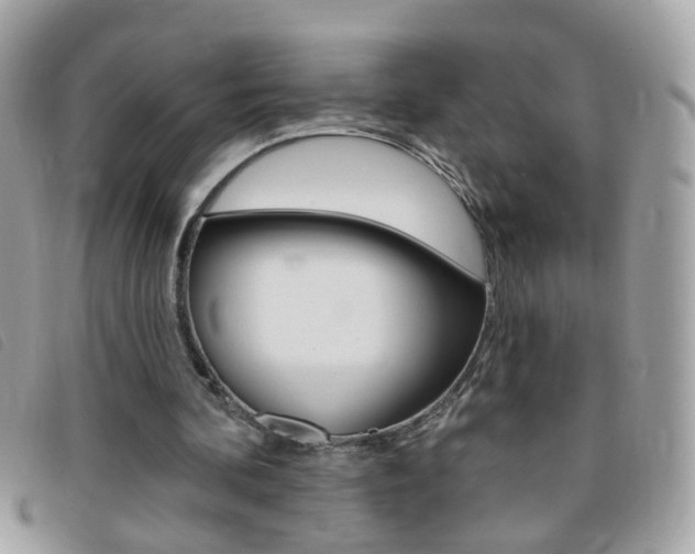 X0000095900292200801110811