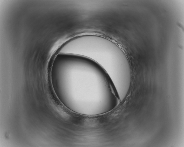 X0000095900296200801110811