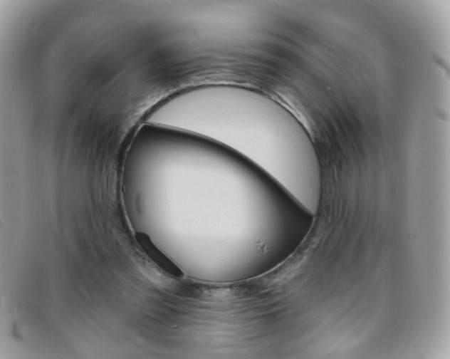 X0000095900301200801110811
