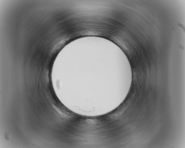 X0000095900302200801110811