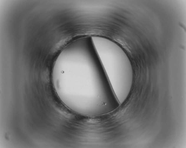 X0000095900303200801110811