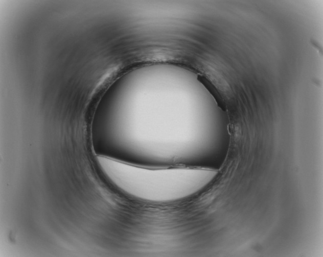 X0000095900304200801110811