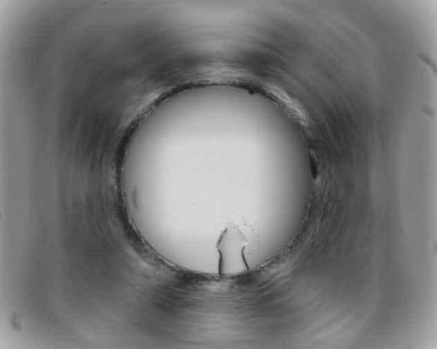 X0000095900306200801110811