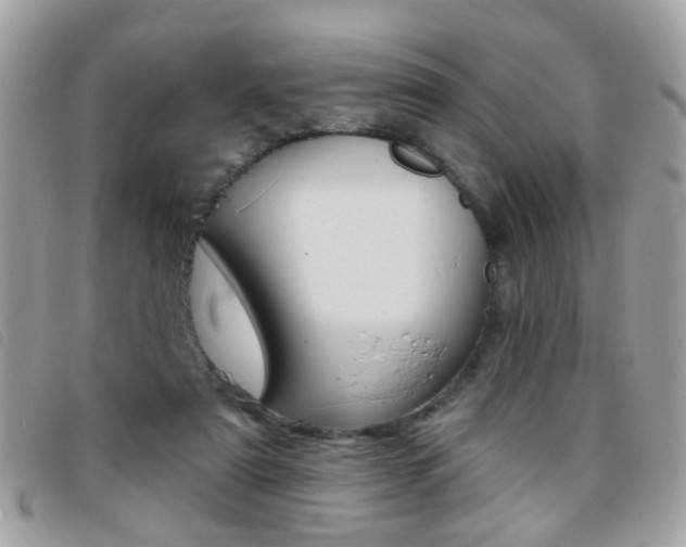 X0000095900307200801110811