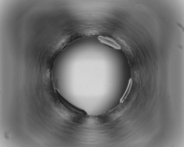 X0000095900308200801110811