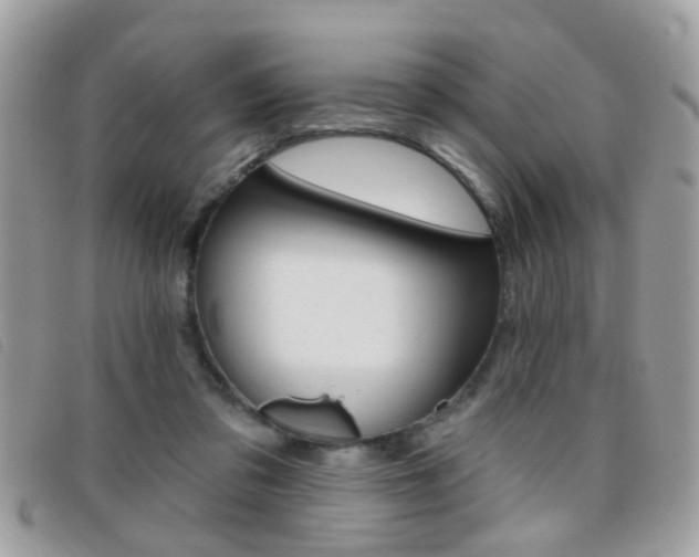 X0000095900309200801110811