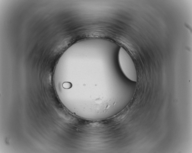 X0000095900310200801110811