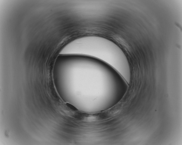 X0000095900312200801110811