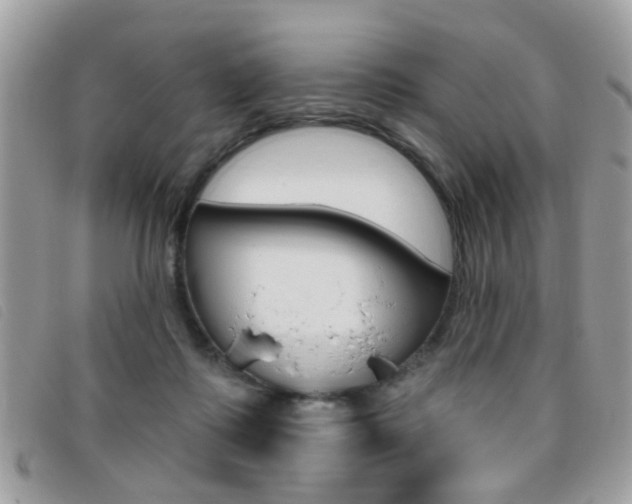 X0000095900315200801110811