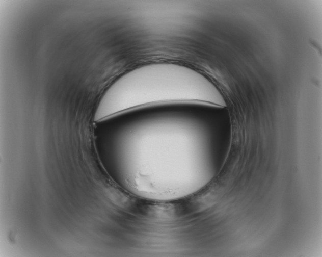 X0000095900317200801110811
