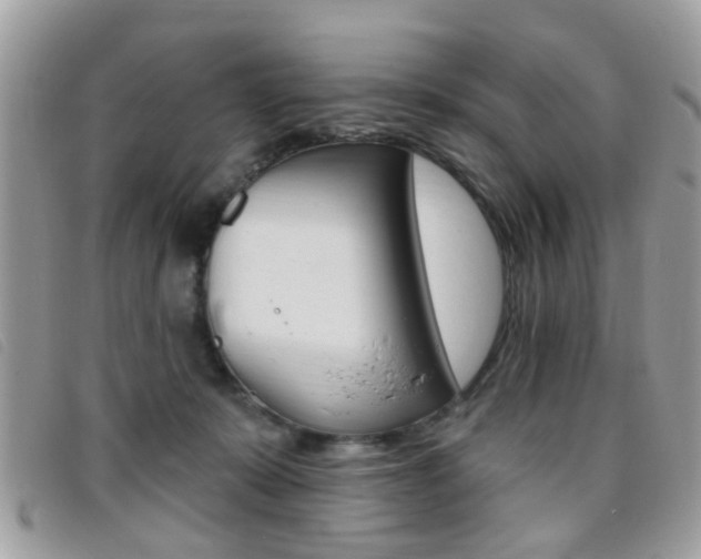 X0000095900319200801110811