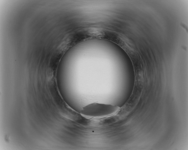 X0000095900320200801110811