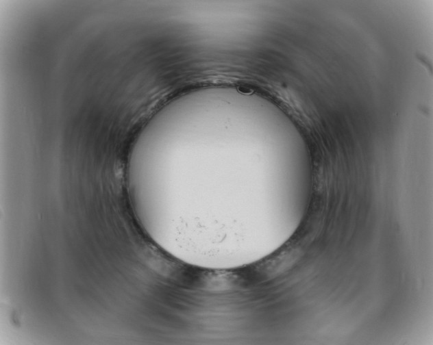 X0000095900321200801110811