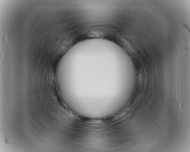 X0000095900322200801110810
