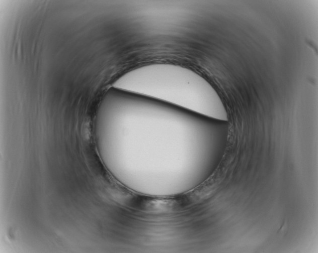 X0000095900323200801110810