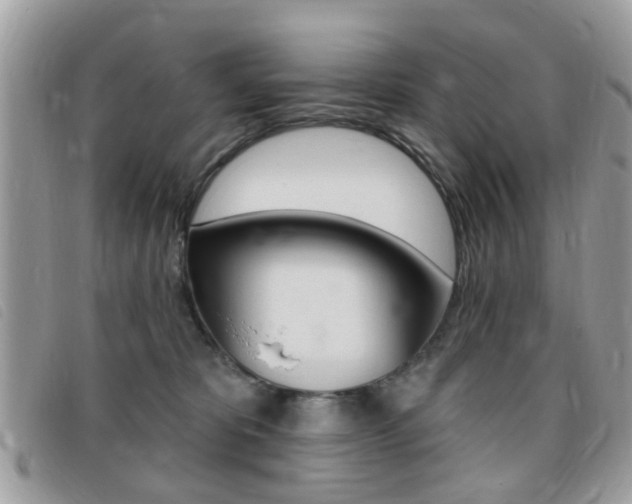 X0000095900325200801110810