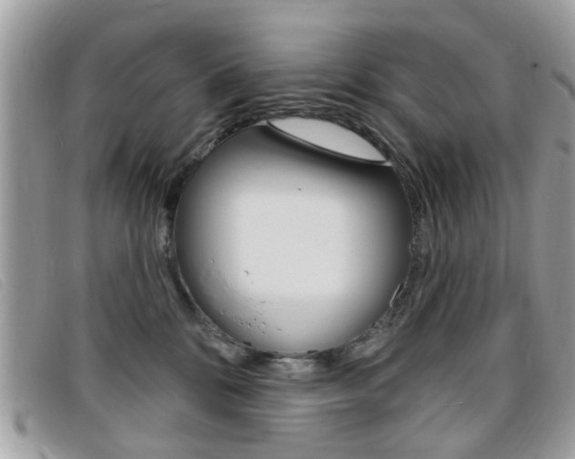 X0000095900328200801110810