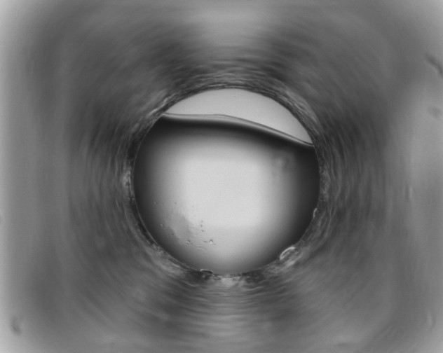 X0000095900329200801110810