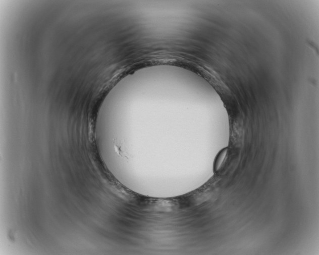 X0000095900330200801110810